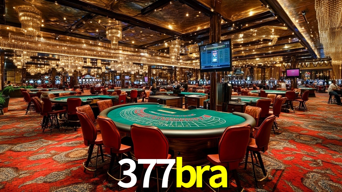 377bra,377bra.com