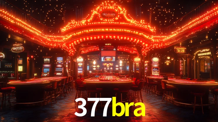 377bra App Interface
