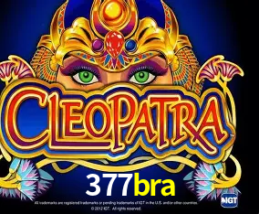 377bra Brasília - Casino Guide
