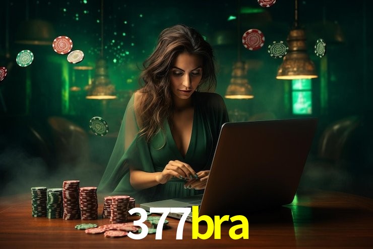 377bra - Installation Guide