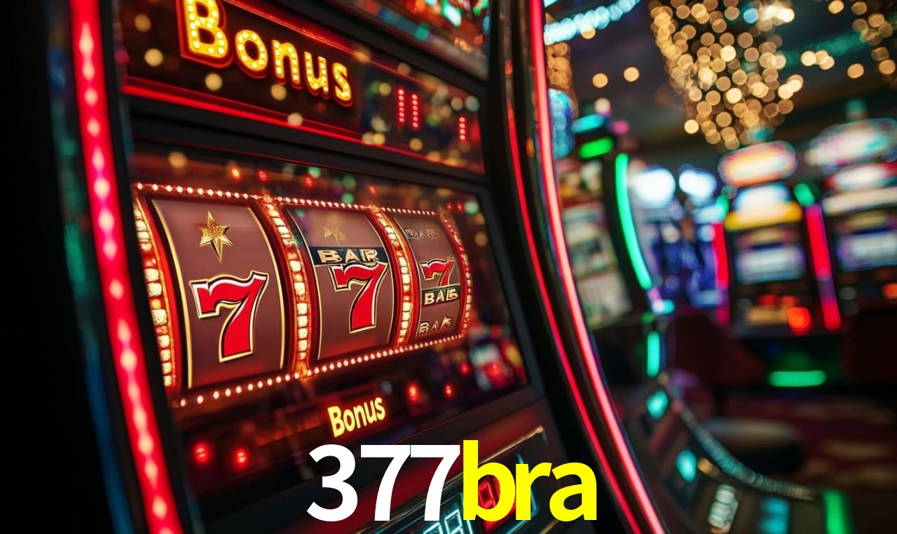 377bra.com