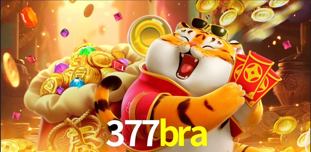 377bra.com