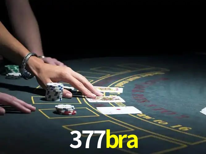 377bra Salvador - Support