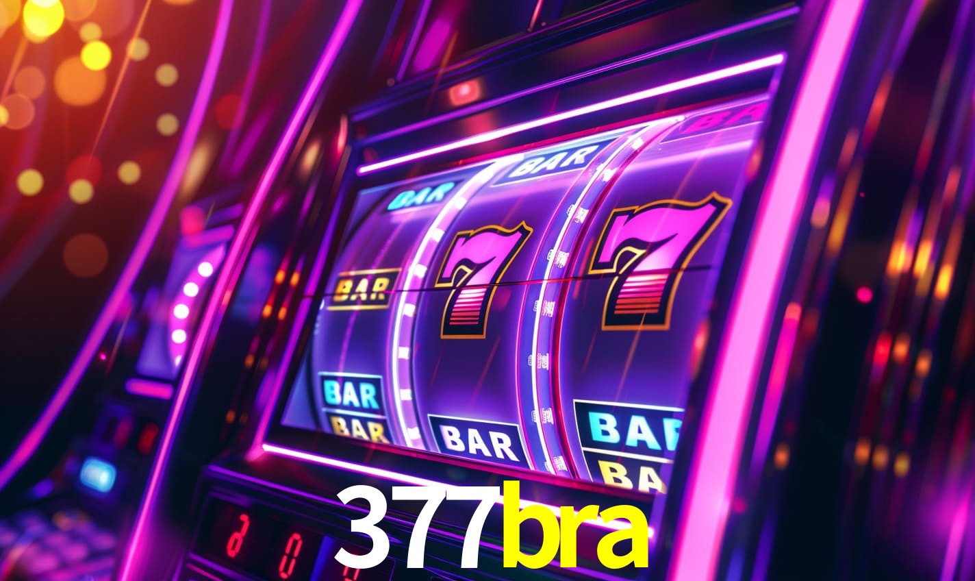 377bra.com