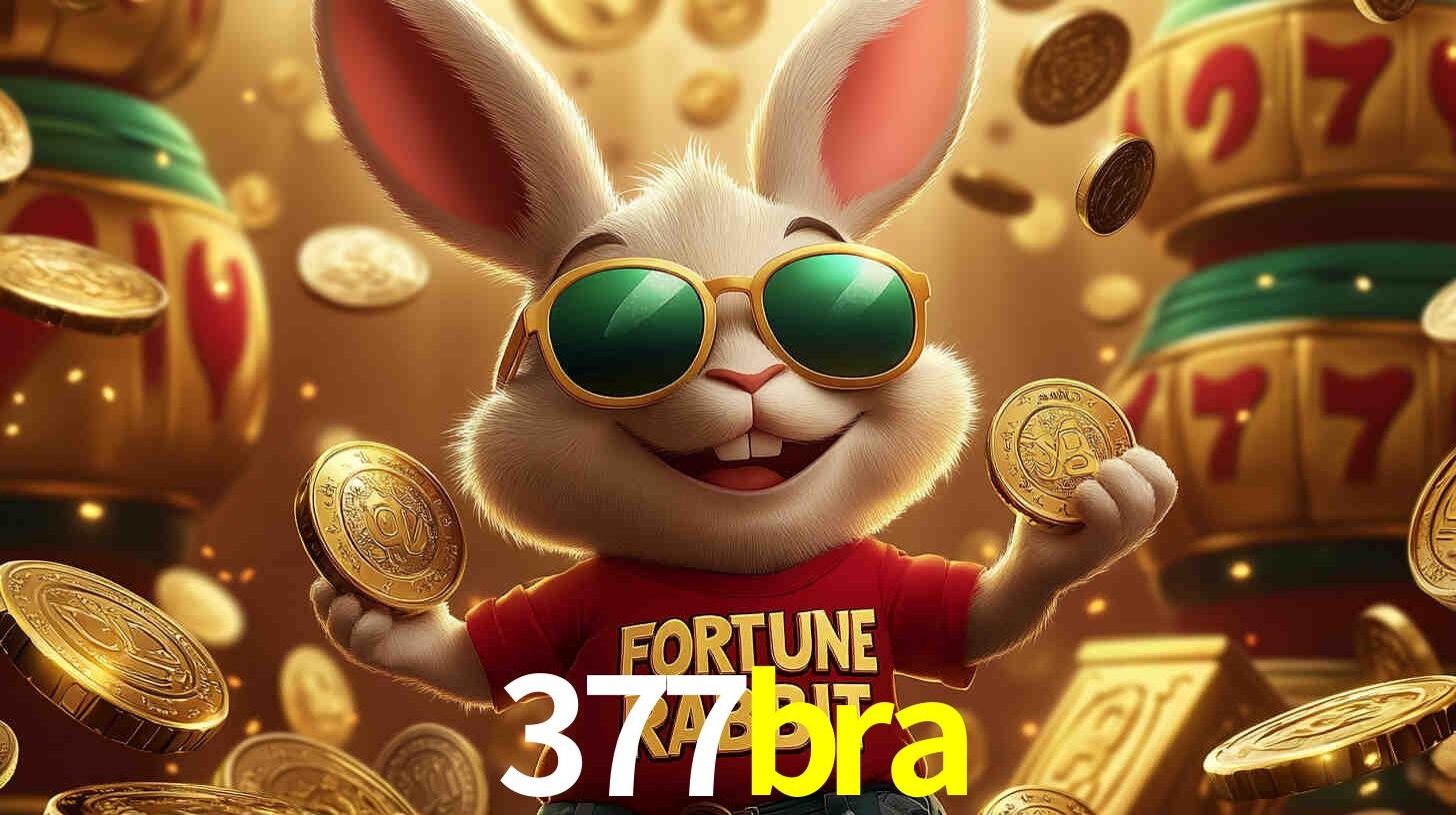 377bra.com