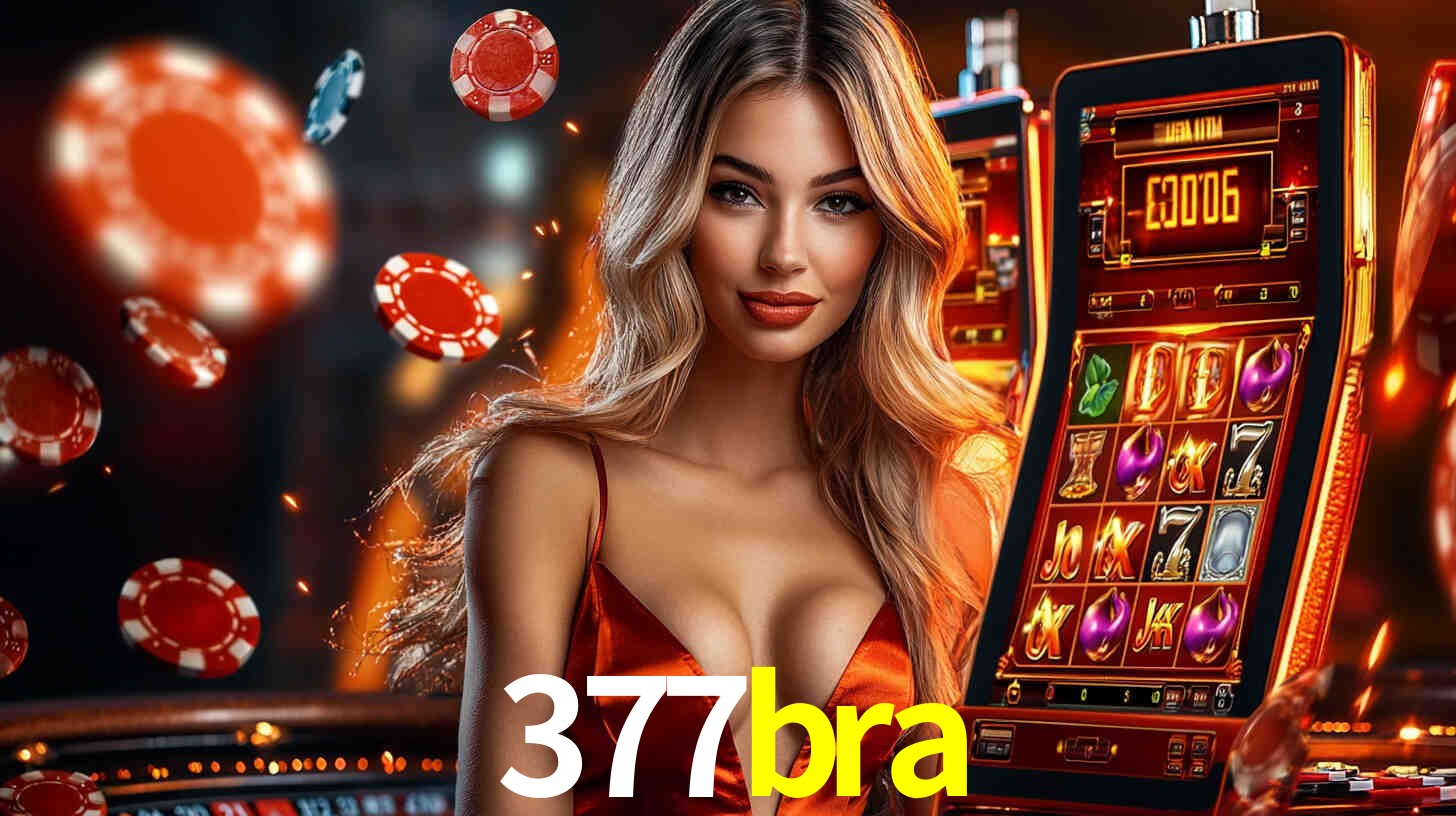 377bra.com