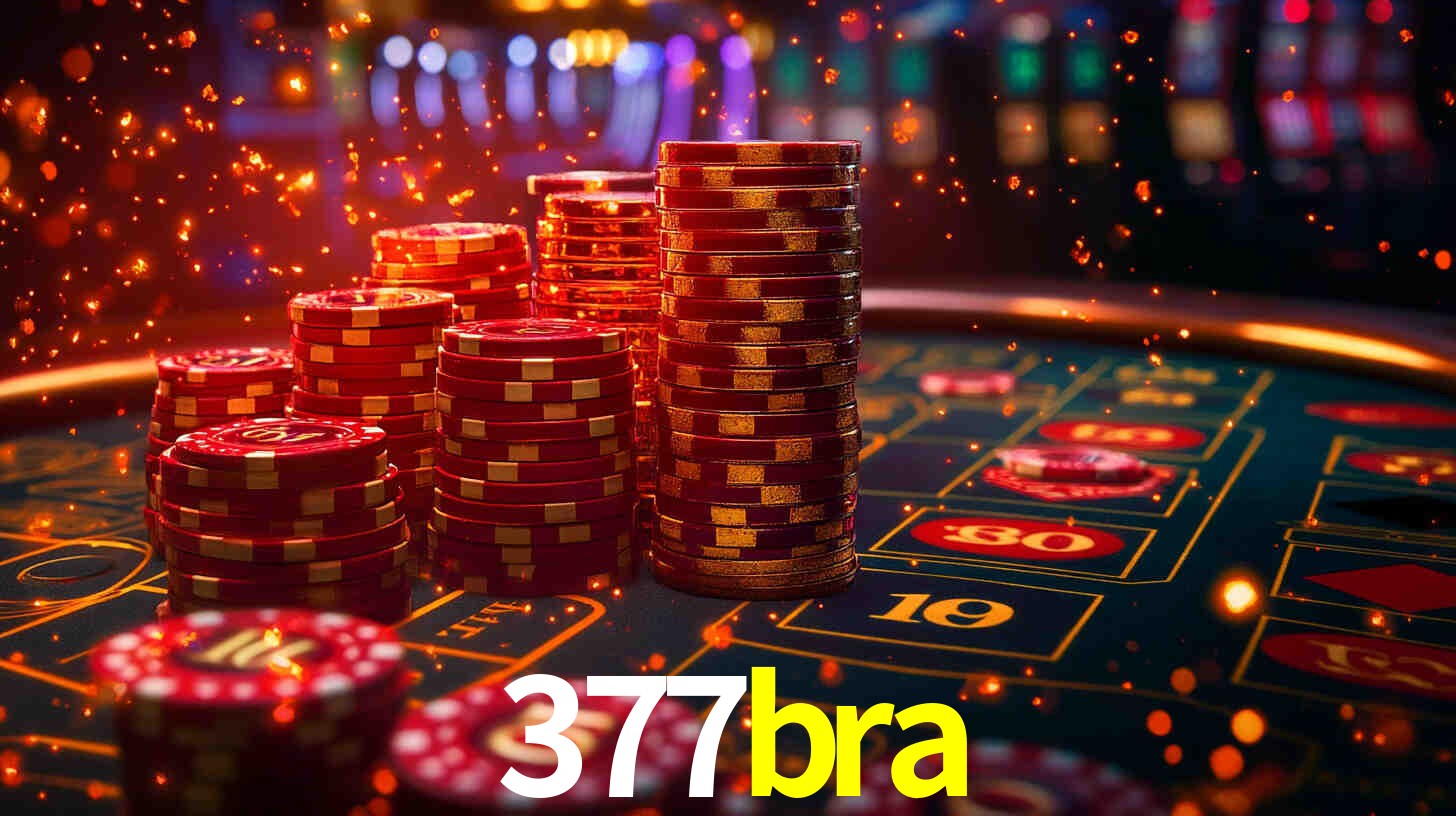 377bra App Interface
