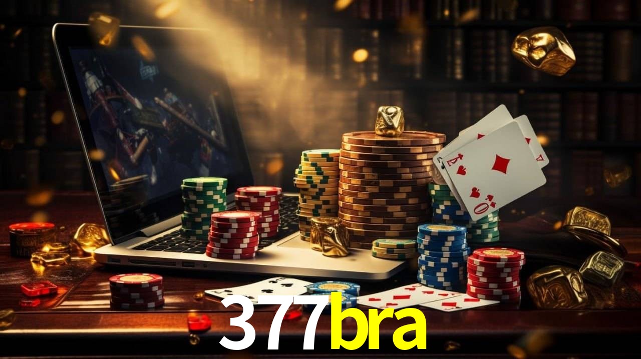 Programa VIP 377bra