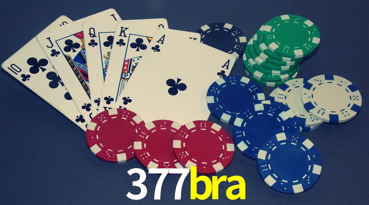 Player Reviews 377bra