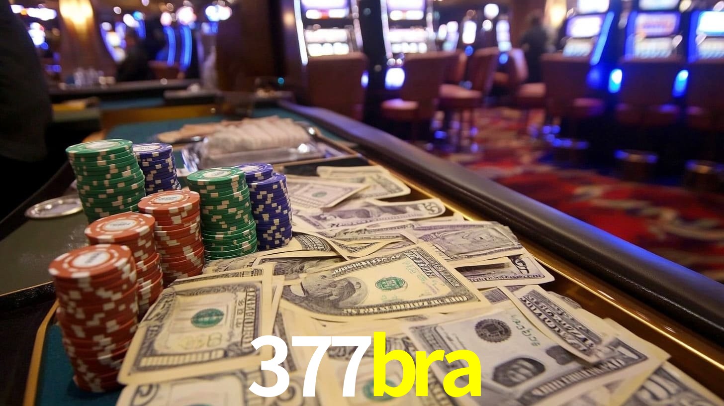 377bra login